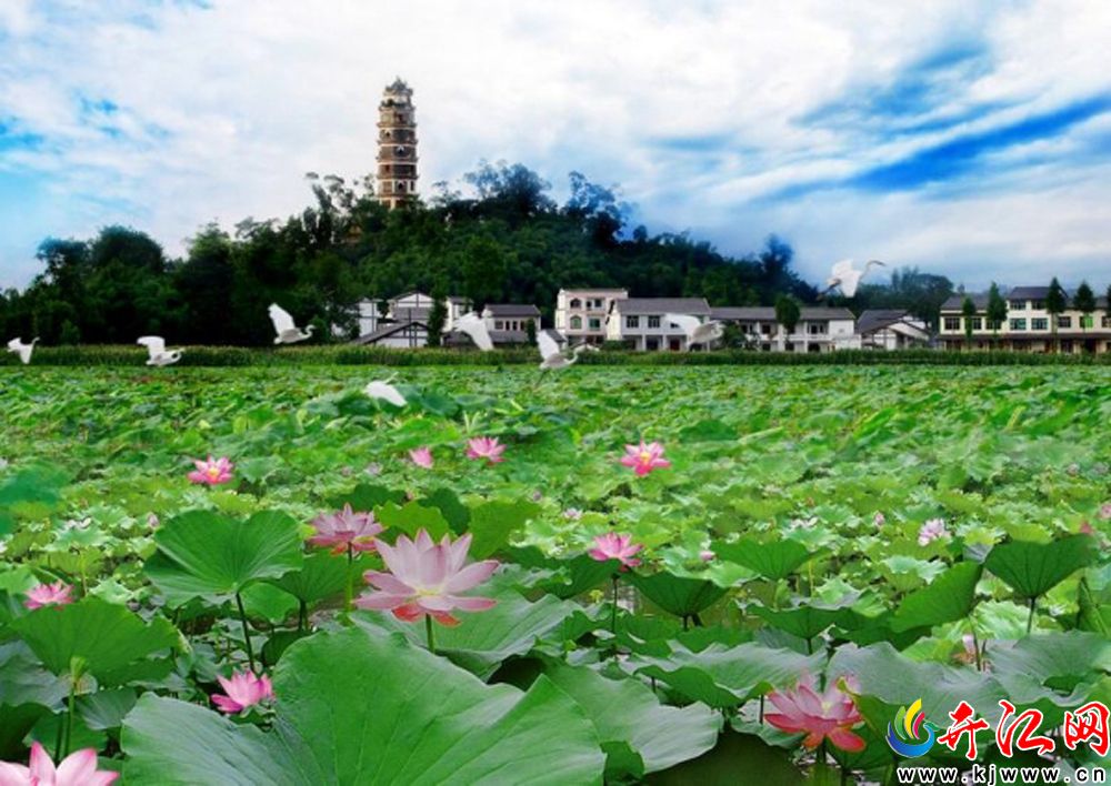 中华网:四川第七届乡村文化旅游节 到开江看荷花